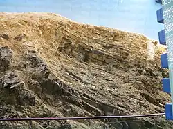 Maotchienšanské břidlice