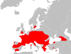 mapa rozšíření (červeně)