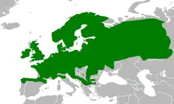 Areál rozšíření