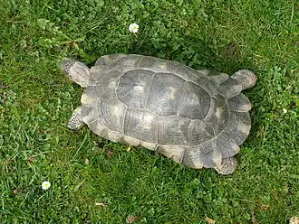 popis obrázku chybí