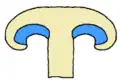 Podvinutý