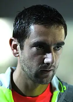 Marin Čilić, 2014
