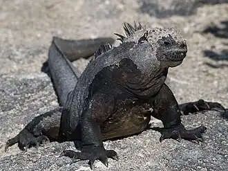 alternativní popis obrázku chybí