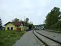 Markvartice