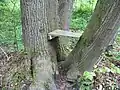 Lavička v aleji