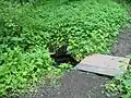 Studánka v lesoparku