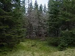 vyschnuté pleso