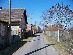čp. 4