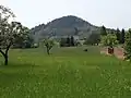 Mazova horka od Jiříčkova