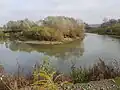 Meandrující rameno Odry