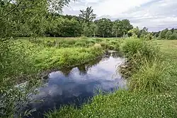 Meandry Rokytky nad Hořejším rybníkem v podobě po revitalizaci koryta v letech 2014–2015[3]