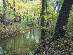 Botič protékající podzimní krajinou