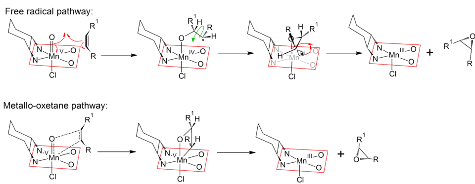 Radikálový a metalo-oxetanový mechanismus Jacobsenovy-Katsukiovy epoxidace