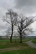 Okolí obce