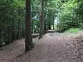 Medzijarky