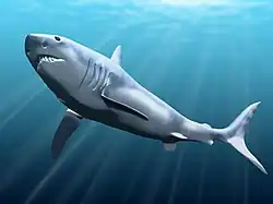 Spodní záběr na možnou podobiznu megalodona plavajícho doleva v osvětlené vodě