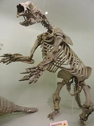 alternativní popis obrázku chybí
