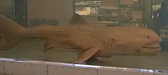 alternativní popis obrázku chybí