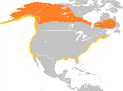 Oranžová barva na mapě značí hnízdiště, žlutá zimoviště.