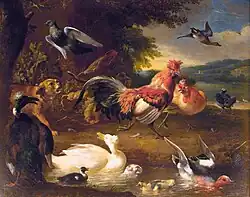 Slepice a kachny, 1660–1690 Mauritshuis