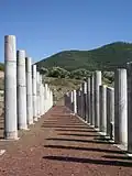 Messene, sloupořadí severní haly stadionu