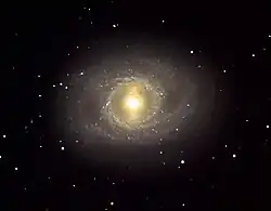 M95