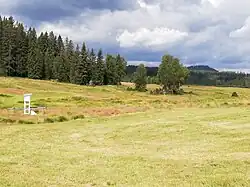 Louka s Perlou, v pozadí vrchol hory Antýgl