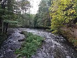 Metuje v Pekle