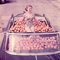 Dívka v automobilu plném pomerančů, Miami's Orange Bowl game, foto: Douglas Jones
