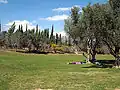 Park