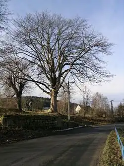 v prosinci 2008