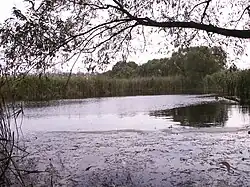 Mikulovické jezero