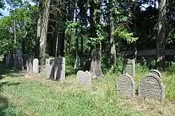 Milevsko-židovský-hřbitov2009r.jpg