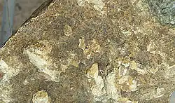 Hydroxyapatit