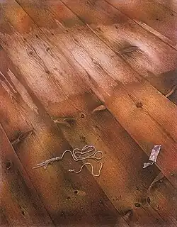 Podlaha, 1978, Národní galerie v Praze