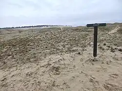 Ukazatel směru