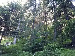 Mních