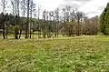 Niva s olšemi a vrbami