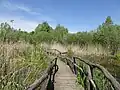 povalový chodník