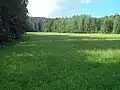 Výhled jižním až JZ směrem (do svahu nad modřínem)