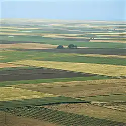 Zemědělská krajina ve Valladolidské provincii