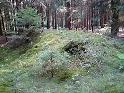 Mohylové pohřebiště na vrchu Vávra u Červeného Újezdce, okres České Budějovice