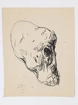 Lebka (po r. 1985)