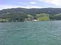 Jižní břeh Mondsee