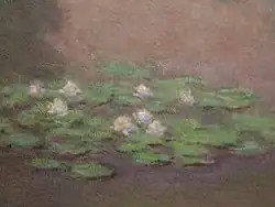 Rybník s lekníny, detail, 1899, Boston Museum of Fine Arts