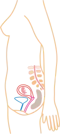 2. měsíc
