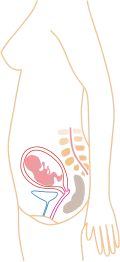 4. měsíc