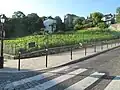 Léto v Paříži (Vinice na Montmartru)