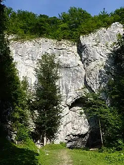 Skalní stěna nad vstupem do jeskyně Býčí skála