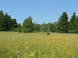 červen 2013
